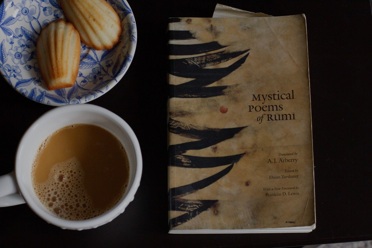 There is a field. – Library of Muses