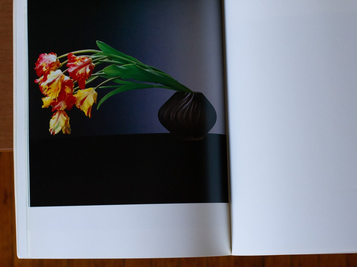 Mapplethorpe and Flowers